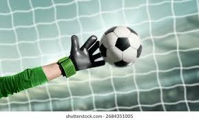 三国志战略版如何提高领地数量